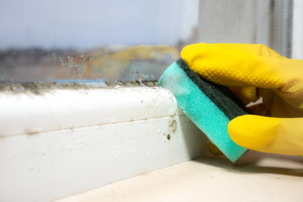 Euharlee, GA Mold Remediation Company